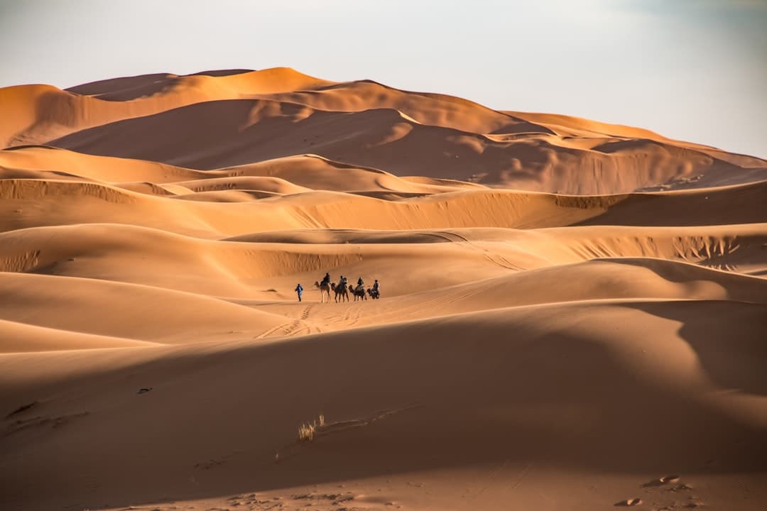 Sahara desert sunrise in Morocco — camel caravan silhouettes on Erg Chebbi dunes, warm orange light