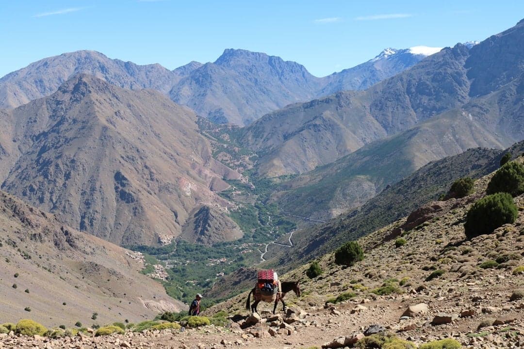 Do you need a guide for Toubkal - a licensed mountain guide leading trekkers up the rocky High Atlas trail toward the summit
