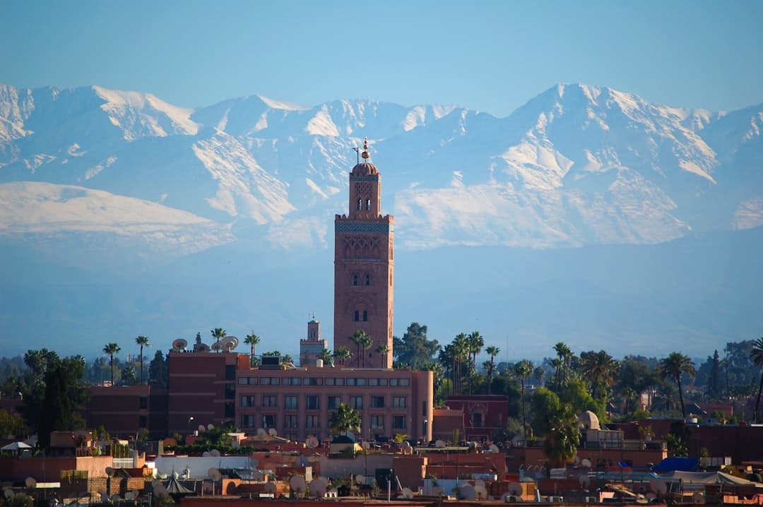 Things to do in Marrakech — the Koutoubia Mosque minaret at sunset with palm trees